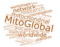 MitoGlobal wording.png