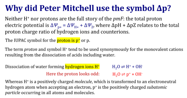 Hydrogen ion versus proton.png