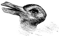 Rabbit or duck.jpg